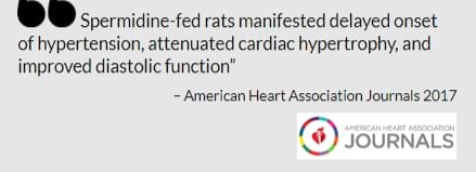 spermidine americanpheart association review