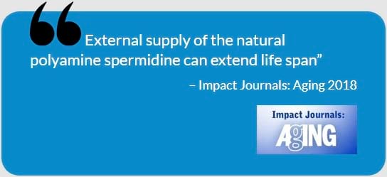 spermidine impact journals review