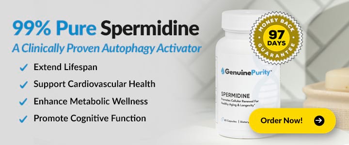 buy spermidine supplement